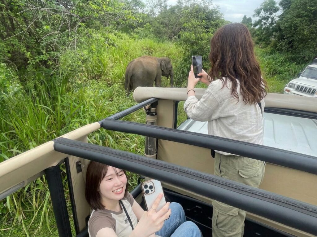 ヤーラ国立公園のジープツアー