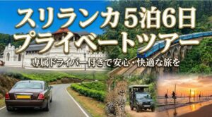 スリランカ国内で5泊6日のモデルコース3選を紹介！6泊7日にも拡張可能！