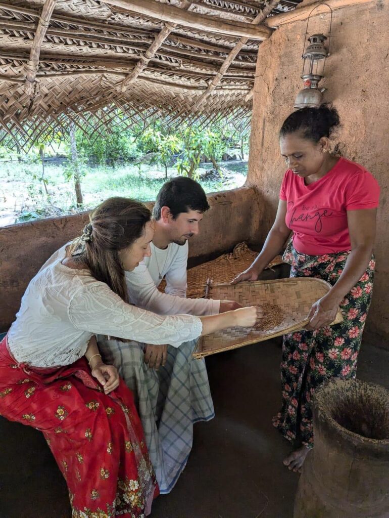 スリランカの伝統料理の料理体験