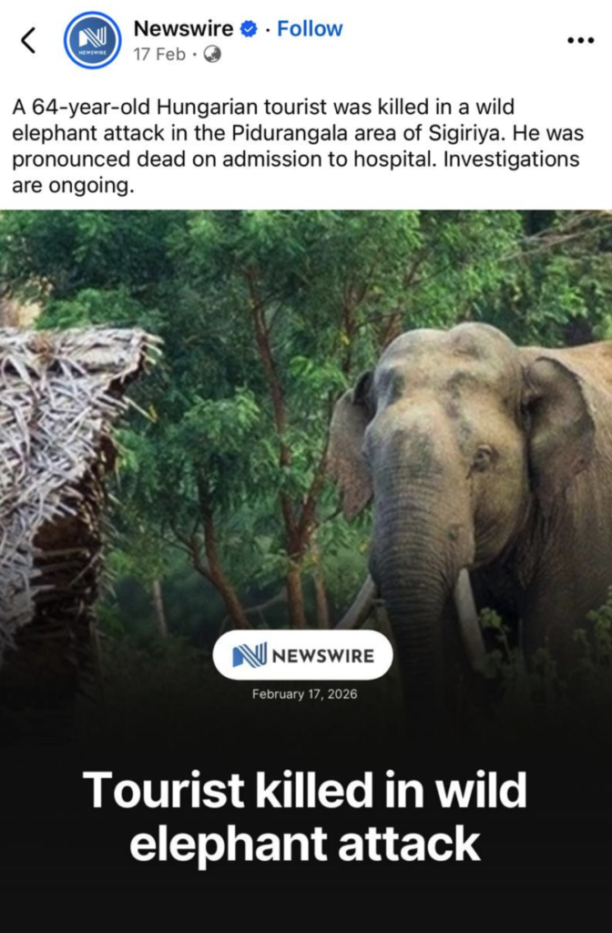 象からの襲撃で海外からの旅行客が死亡