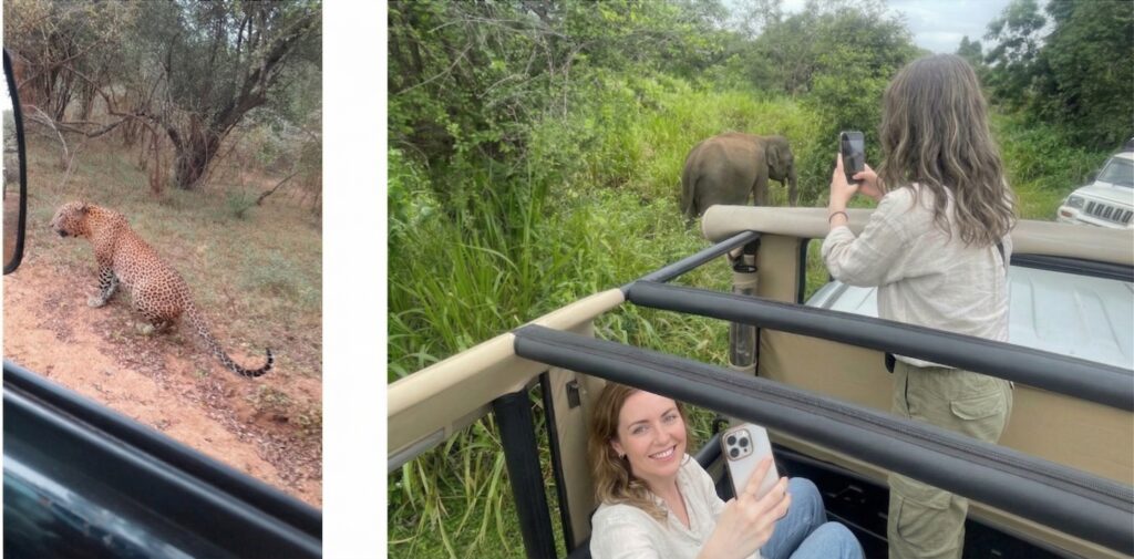 亚拉国家公园吉普车之旅