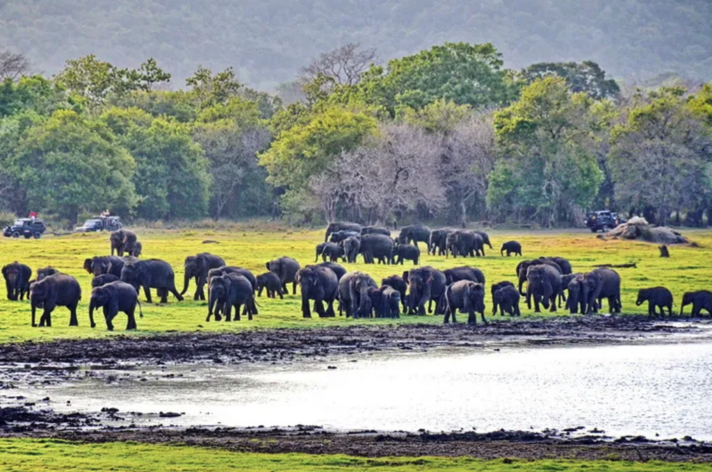 米内日亚国家公园