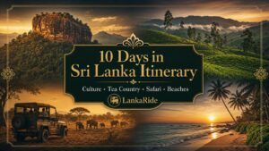 Premium 10 days Sri Lanka itinerary with private driver through culture tea country safari and south coast