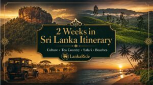 2 Weeks in Sri Lanka Itinerary luxury LankaRide featured image with culture tea country safari and beaches